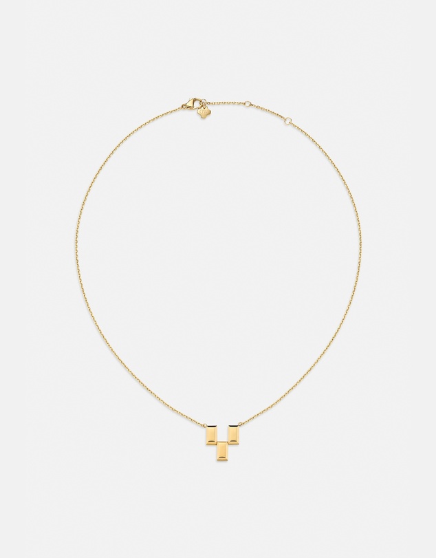 Daniel Wellington - Bric Necklace