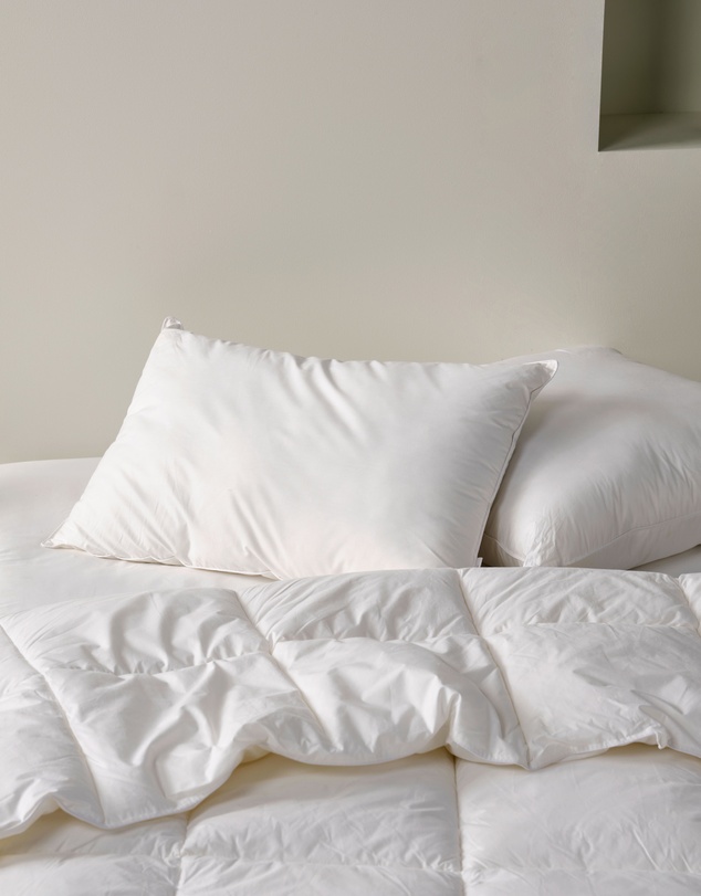 Linen House - All-Seasons Standard Pillow