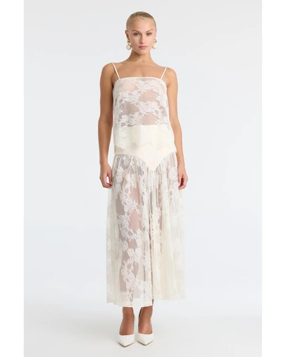 Bardot - Hildie Sheer Lace Cami