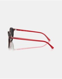 Ray-Ban - Bernard