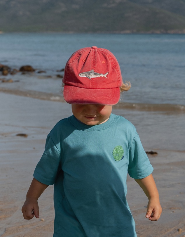 Pallion Point - Kids Tiger Shark Fish Lid