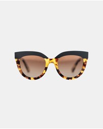 Bask Eyewear - Echo