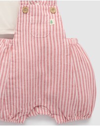 Purebaby - Christmas Striped Overall Set -Kids-Babies