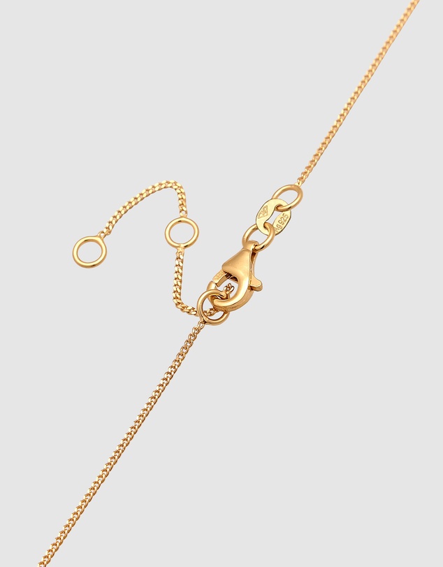 Elli Jewelry - Necklace Choker Armoured Chain 925 Sterling Silver Gold-plated