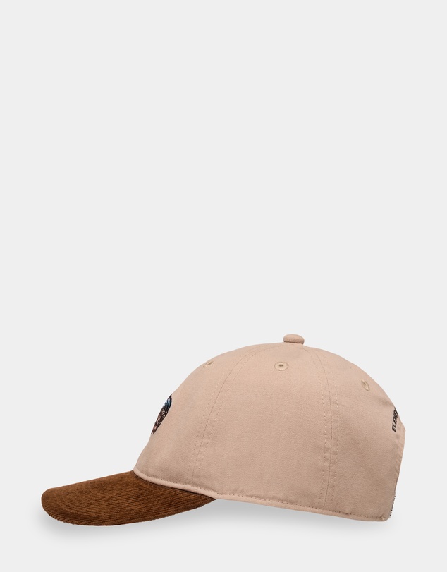 Element - Mens Split Paint Low Cap