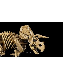 LEGO - 77985 Jurassic World 77985