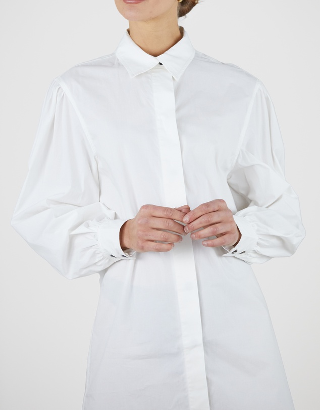 Amelius - Blythe Shirt Dress