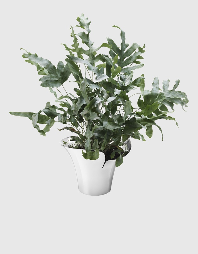 Georg Jensen - Bloom Botanica Flower Pot, Medium