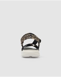 Active Flex - Native