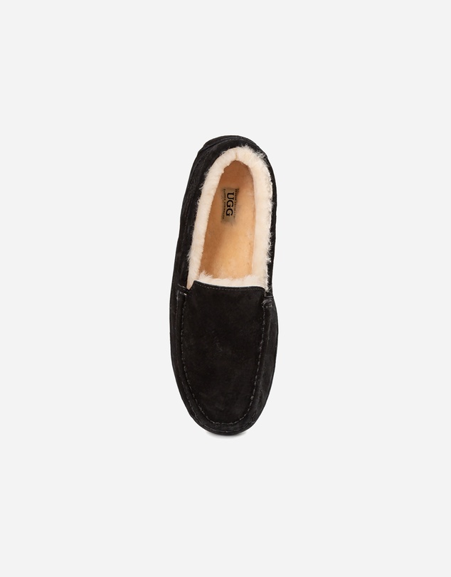 Ozwear Connection Uggs - Ugg Denver Men's Moccassin (Water Resistant)