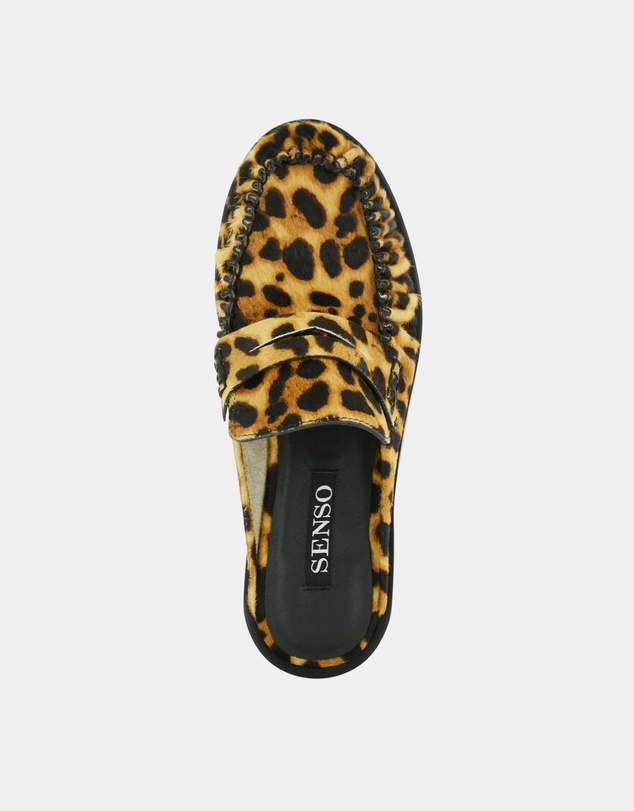 Senso - Charlotte IV