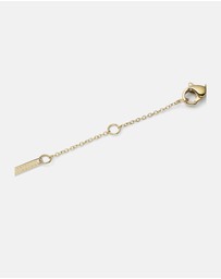Daniel Wellington - Audrey Necklace Tiger Eye
