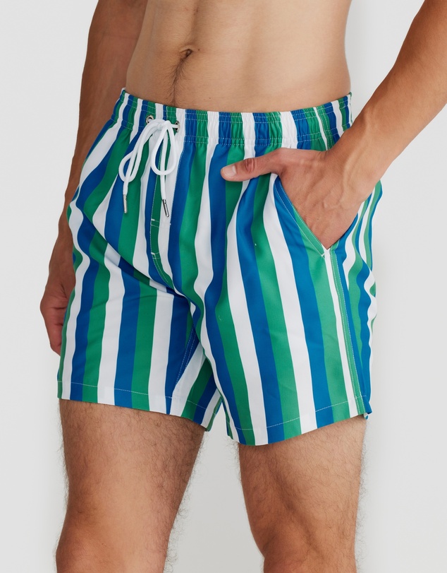 Vacay Swimwear - Toronto Swim Shorts