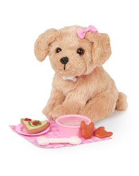 Our Generation - Our Generation Doll with Pet Dog, Jin & Charm
