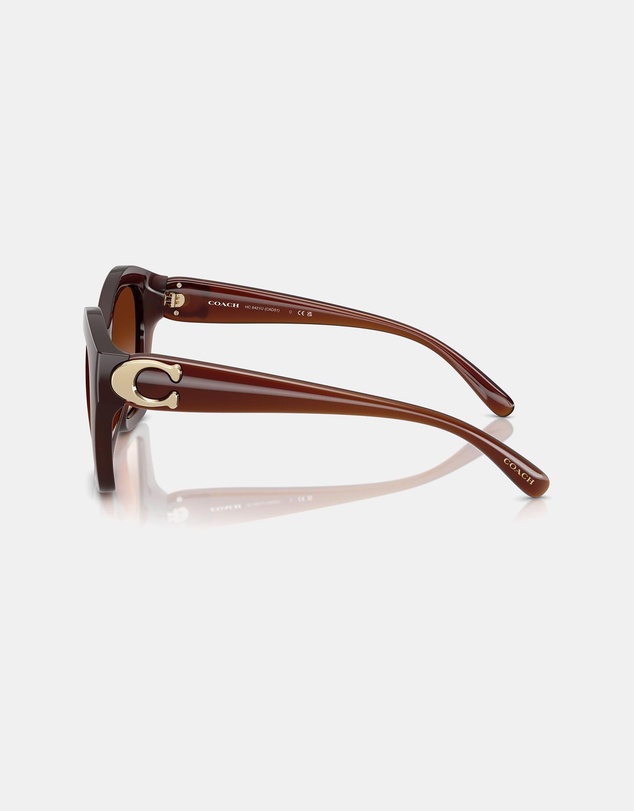 Coach - CAD31