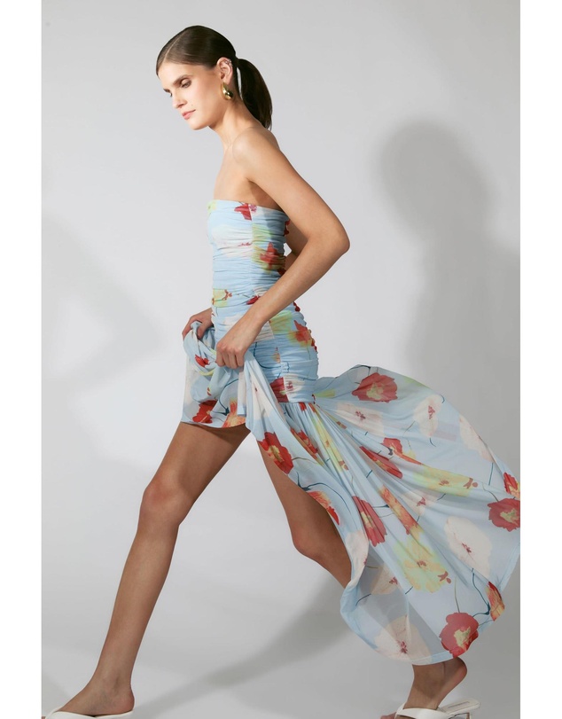 Bardot - Solana Printed Mesh Maxi Dress