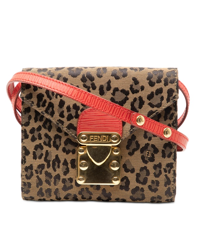 Pre-Loved by Azura Reborn - Pre-Loved Mini Leopard Print Canvas Flap Crossbody