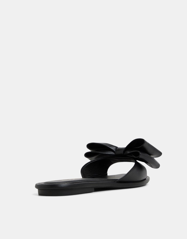ALDO - Bowetta Ballerina & Flats