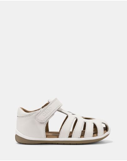 White E