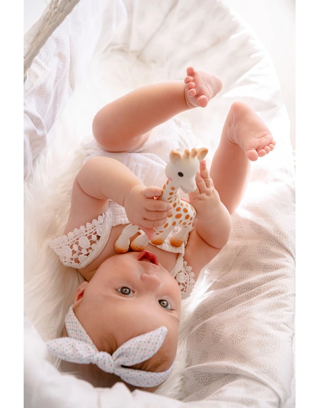 Sophie the Giraffe - Teething Toy