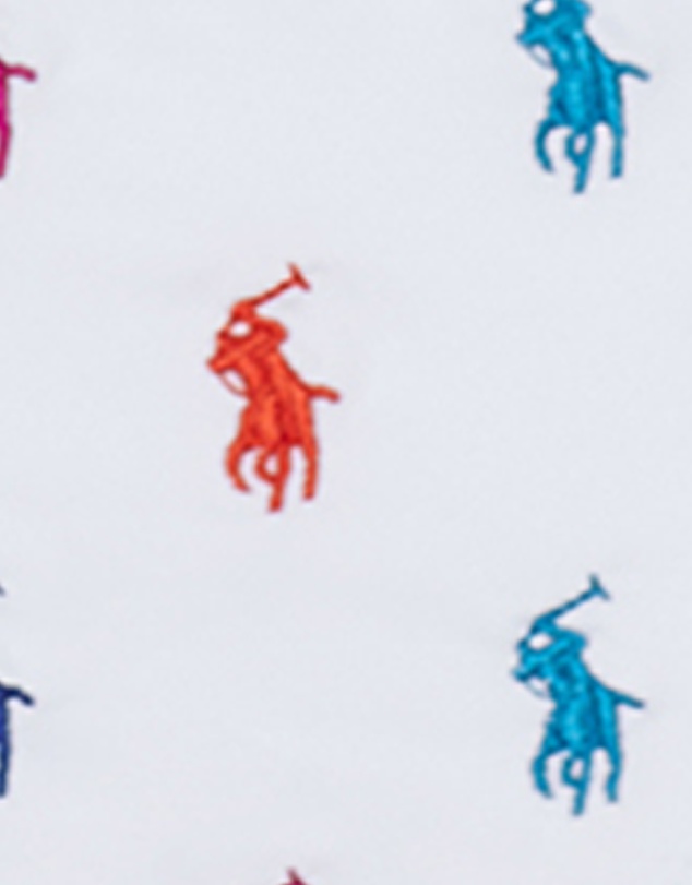 Polo Ralph Lauren - Logo Icons Devin Embroidered Low Rise Hipster Bikini Bottom