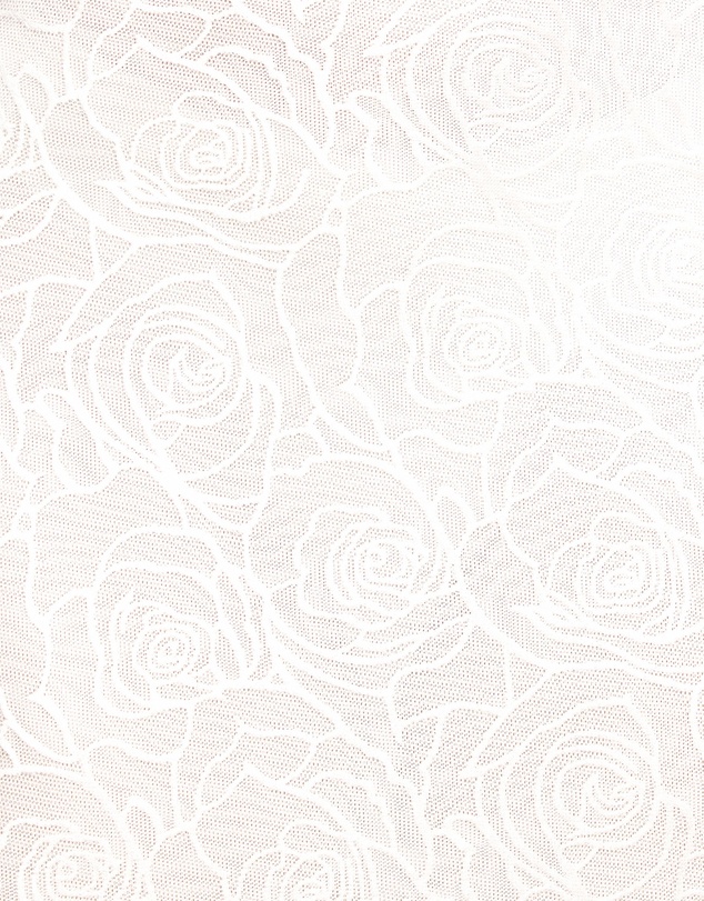 Dazie - Desert Rose Mesh Maxi Dress
