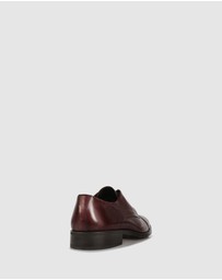 Brando - Gaetan Lace Ups