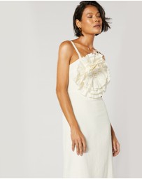 Winona - Morissey Rose Dress