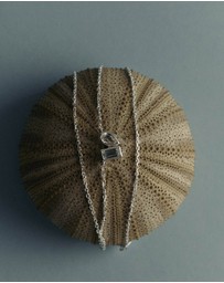 Kirstin Ash - Place Necklace
