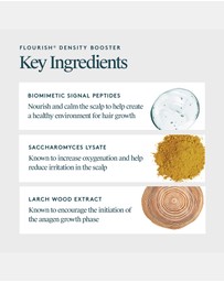 Virtue Labs - Flourish Booster 120ml 