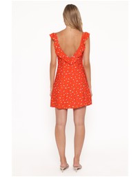 Petal & Pup - Lacey Mini Dress - Red Floral