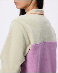 Patagonia - Lightweight Synchilla Snap-T Fleece Pullover