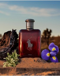 Polo Ralph Lauren - Polo Red Parfum 75ml