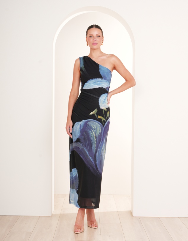 Pilgrim - Paris Printed Mesh Maxi Dress
