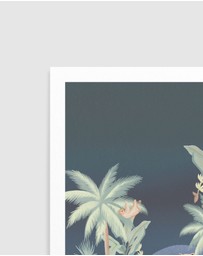 Olive et Oriel - Jungle Cheetah In Midnight