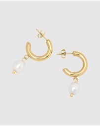 Pastiche - Molly Hoops