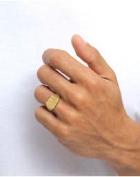 Kuzzoi - ICONIC EXCLUSIVE - Horse Signet Ring in Gold-Plated 925 Sterling Silver