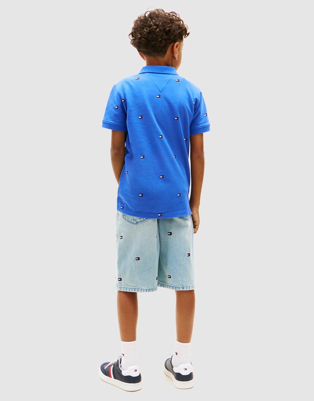 Tommy Hilfiger - Regular Fit Wavy Flag Embroidery Polo Shirt - Teens