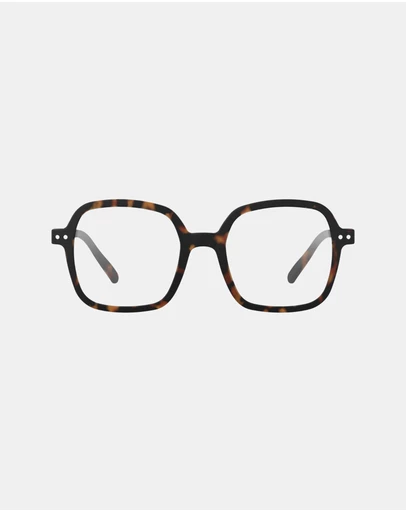 IZIPIZI - Reading Collection O Tortoise