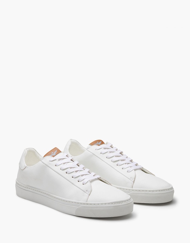 Aquila - Deco 2.0 Sneakers