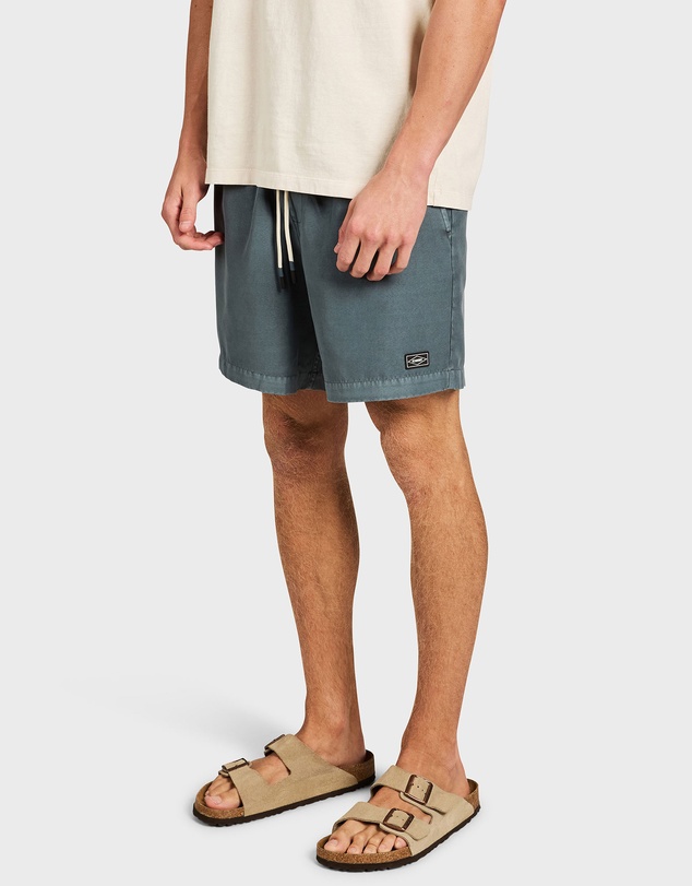 Academy Brand - Teamster Boardy