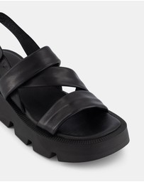 Miss Sofie - Nala Wedges