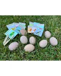 Wonderstuff - Dig & Discover Dinosaur Eggs