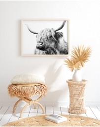 Olive et Oriel - Highland Cow Closeup Art Print