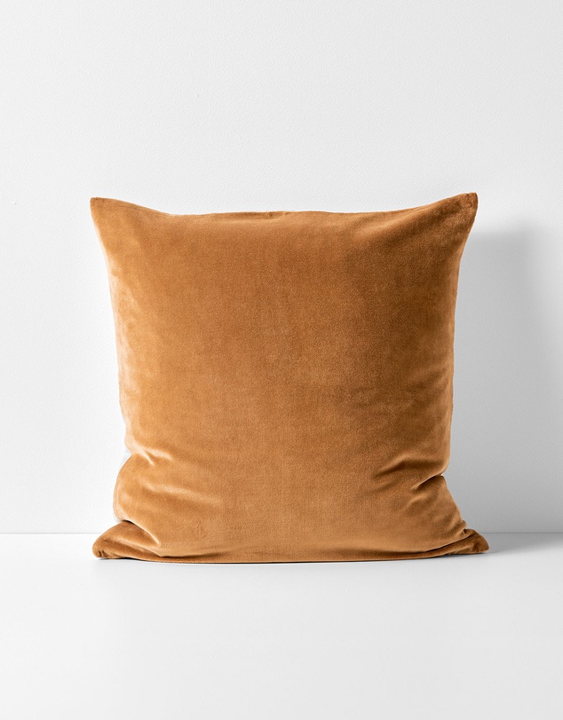 Aura Home - Luxury Velvet Cushion