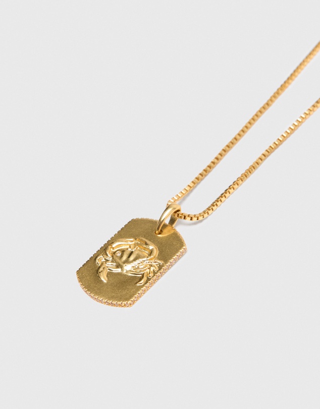 Maje - Astro Plaque Necklace