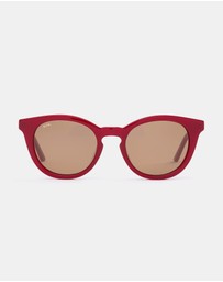SITO Shades - Now or Never - Polarised