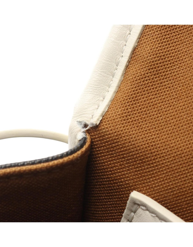 Pre-Loved by Azura Reborn - Pre-Loved Medium Triomphe Coated Canvas Folco Crossbody