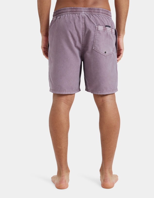 Quiksilver - Mens Everyday 17