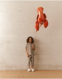 Alfred - Hugo Pants | Chocolate